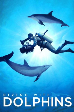 Diving with Dolphins